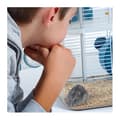Miniatyrbild 6 av 6: Bur Rody 3 Trio för Blå Hamster