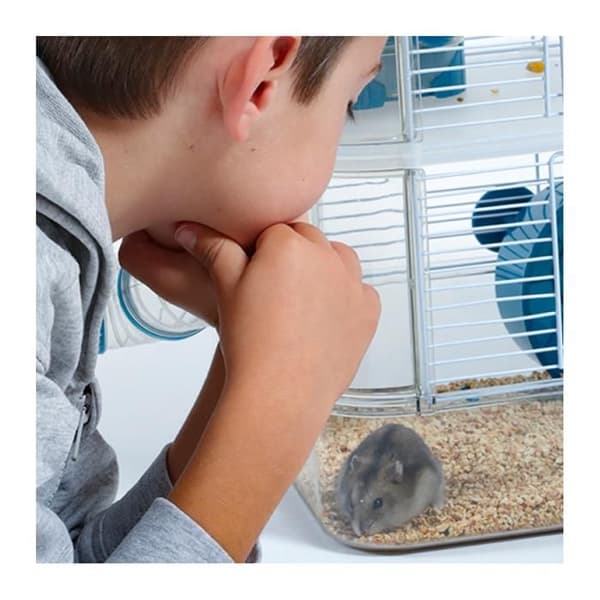 Bur Rody 3 Trio för Blå Hamster
