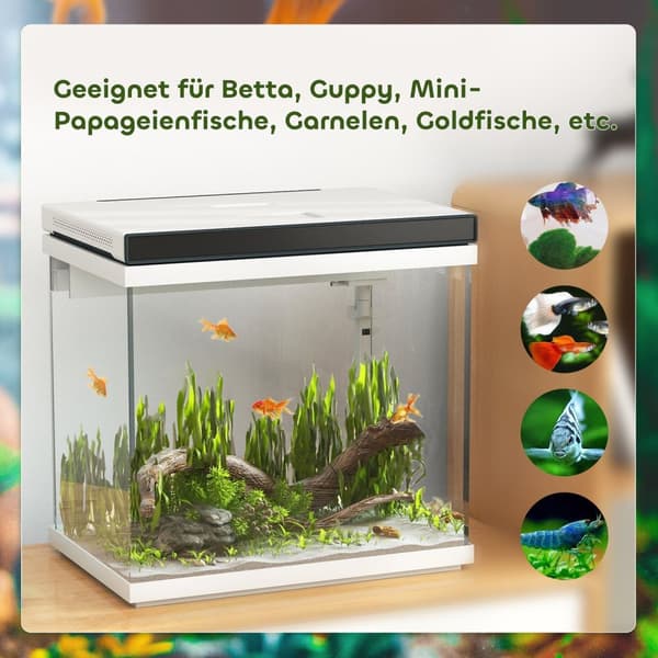 Rootz 26 liter akvariumsæt - fisketank - LED tændt akvarium - stille drift - 38 cm x 26 cm x 37,6 cm