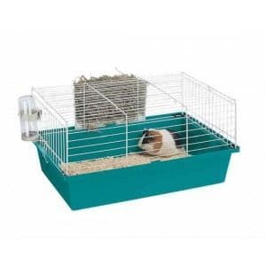 Bur för gnagare cavy 60