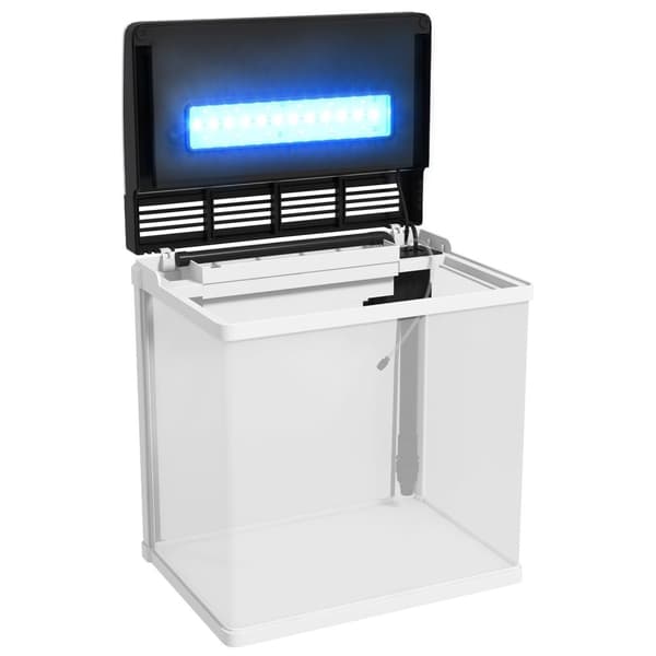 Rootz Aquarium - Fish Tank - vesistöllinen elinympäristö - Sisältää LED -valon ja suodattimen - 38 cm x 26cm x 39,5 cm