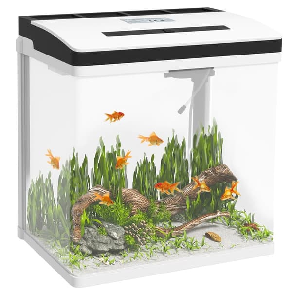 Rootz Aquarium - Fish Tank - vesistöllinen elinympäristö - Sisältää LED -valon ja suodattimen - 38 cm x 26cm x 39,5 cm