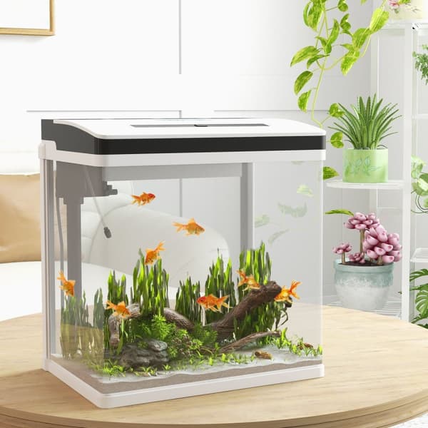 Rootz Aquarium - Fish Tank - vesistöllinen elinympäristö - Sisältää LED -valon ja suodattimen - 38 cm x 26cm x 39,5 cm