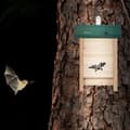 Miniatyrbild 2 av 6: Relaxdays, Fladdermushus, Hus, Obehandlat Gran, Box, HxBxD: 25,5 x 18 x 6 cm, Natur/Grön