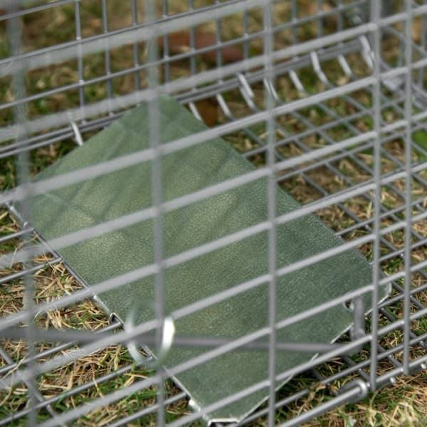 Rootz Foldble Fishing Cage - Trap Cage - Animal Catcher - Helppo asennus - 81 cm x 26cm x 34,5 cm teräshopea