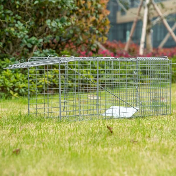 Rootz Foldble Fishing Cage - Trap Cage - Animal Catcher - Helppo asennus - 81 cm x 26cm x 34,5 cm teräshopea