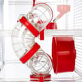 Miniatyrbillede 4 af 5: ZOLUX 2-etagers bur til hamstere, mus og gerbiler - Rody3 duo - L 41 x D 27 x H 40,5 cm - Grenadine