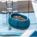 Miniatyrbillede 6 af 6: Bur - FERPLAST - DUNA FUN LARGE - 3 niveauer - 71,5 x 46 x 41 cm - Blå