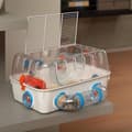 Miniatyrbillede 2 af 2: Legesygt hamsterbur 40,5*29,5*22,5 cm - Plastik - FERPLAST