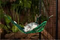 Miniatyrbillede 2 af 4: Thumper's Land Paradise Garden trekant hængekøje 30x30 cm S