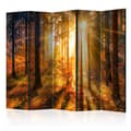 Miniatyrbild 1 av 4: Rumsavdelare - Autumn Awakening II - 5 Delar