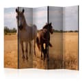 Miniatyrbild 1 av 4: Rumsavdelare - Horse And Foal II - 5 Delar