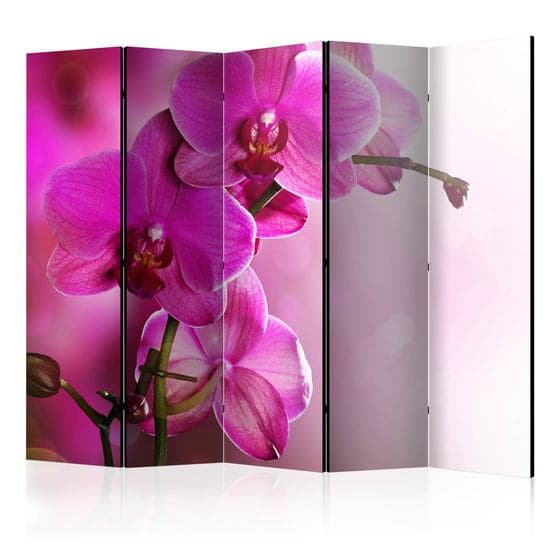 Rumsavdelare - Pink Orchid II - 5 Delar