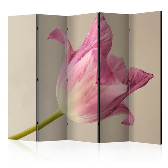 Rumsavdelare - Pink Tulip II - 5 Delar