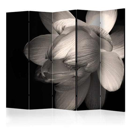 Rumsavdelare - Lotus Flower II - 5 Delar