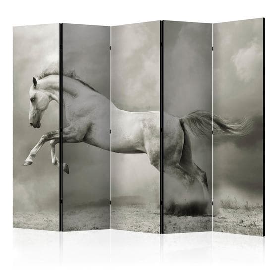 Rumsavdelare - Wild Stallion II - 5 Delar