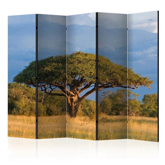 Rumsavdelare - African Acacia Tree, Hwange National Park, Zimbabwe II - 5 Delar