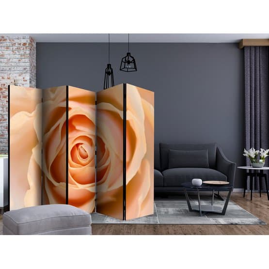 Rumsavdelare - Peach-Colored Rose II - 5 Delar