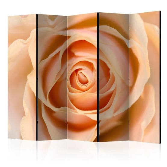Rumsavdelare - Peach-Colored Rose II - 5 Delar