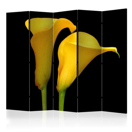 Rumsavdelare - Two Yellow Calla Flowers On A Black Background II - 5 Delar