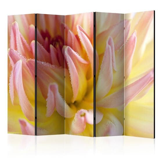 Rumsavdelare - Pastel Colored Dahlia Flower With Dew Drops II - 5 Delar