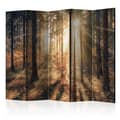 Miniatyrbild 1 av 4: Rumsavdelare - Autumnal Forest Sun II - 5 Delar