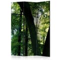 Miniatyrbild 1 av 4: Rumsavdelare - Spring In The Park - 3 Delar