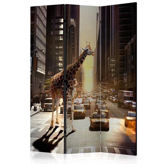 Rumsavdelare - Giraffe In The Big City - 3 Delar