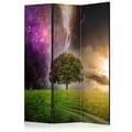 Miniatyrbild 1 av 4: Rumsavdelare - Magic Tree - 3 Delar