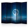 Miniatyrbild 1 av 2: Rumsavdelare - Moonlit Night II - 5 Delar