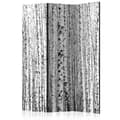 Miniatyrbild 1 av 4: Rumsavdelare - Birch Forest - 3 Delar