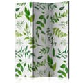 Miniatyrbild 1 av 4: Rumsavdelare - Green Twigs - 3 Delar