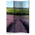 Miniatyrbild 1 av 4: Rumsavdelare - Lavender Fields - 3 Delar