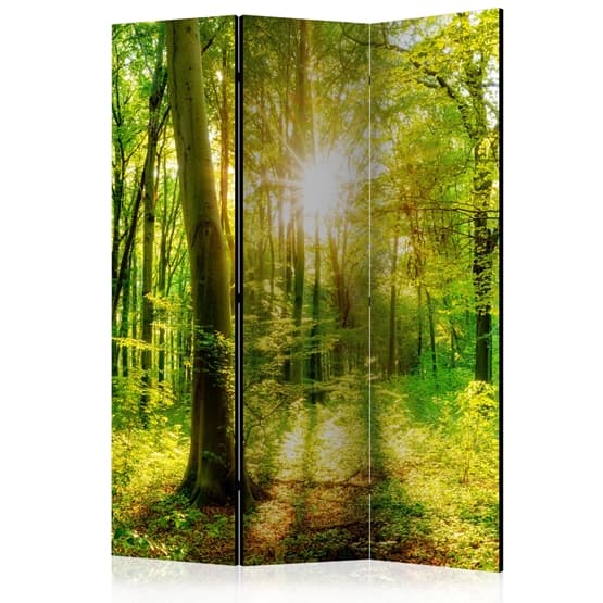 Rumsavdelare - Forest Rays - 3 Delar
