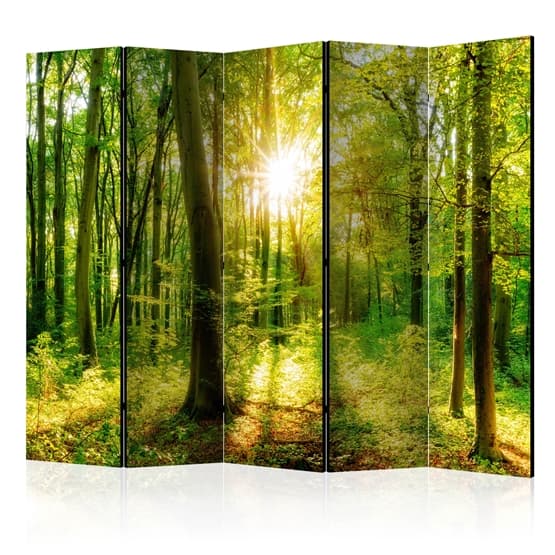Rumsavdelare - Forest Rays II - 5 Delar