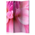 Miniatyrbild 1 av 4: Rumsavdelare - Flower Petals - Dahlia - 3 Delar