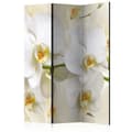Miniatyrbild 1 av 4: Rumsavdelare - Orchid Branch - 3 Delar