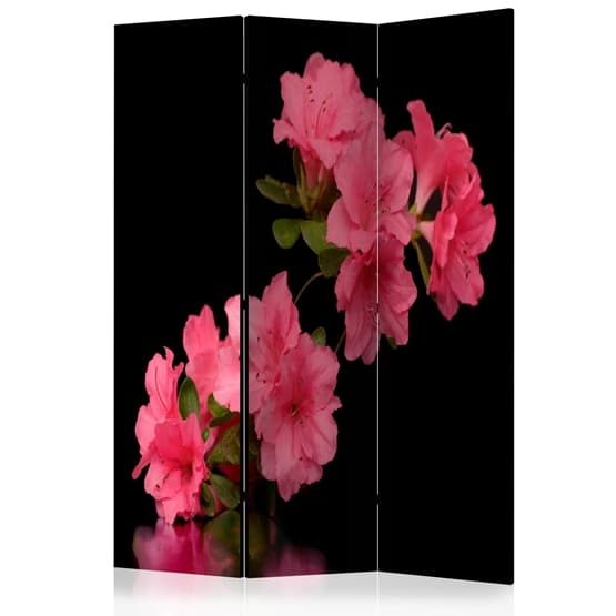 Rumsavdelare - Azalea In Black - 3 Delar
