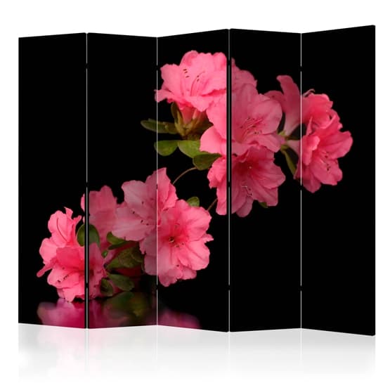 Rumsavdelare - Azalea In Black II - 5 Delar