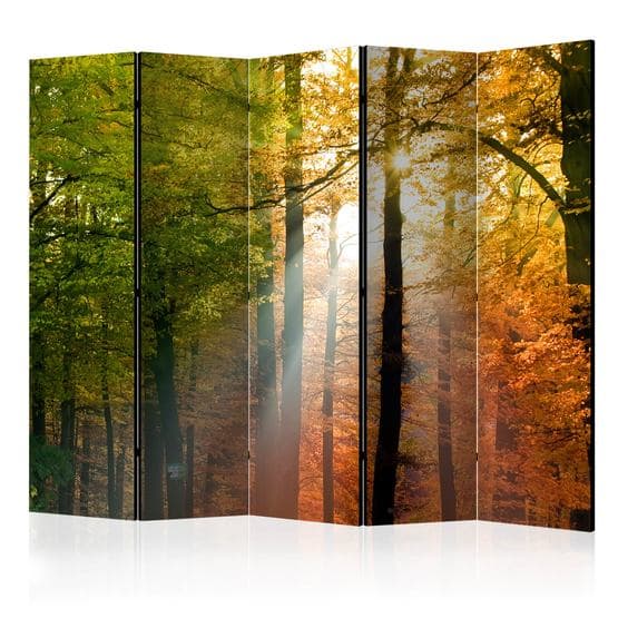 Rumsavdelare - Forest Colours II - 5 Delar