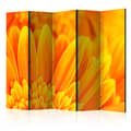 Miniatyrbild 1 av 2: Rumsavdelare - Yellow Gerbera Daisies II - 5 Delar