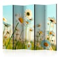 Miniatyrbild 1 av 2: Rumsavdelare - Daisies - Spring Meadow II - 5 Delar