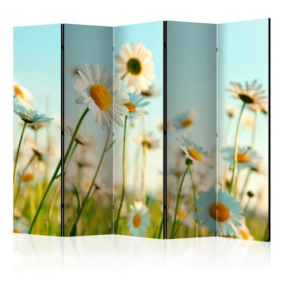Rumsavdelare - Daisies - Spring Meadow II - 5 Delar