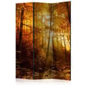 Miniatyrbild 1 av 4: Rumsavdelare - Autumn Illumination - 3 Delar