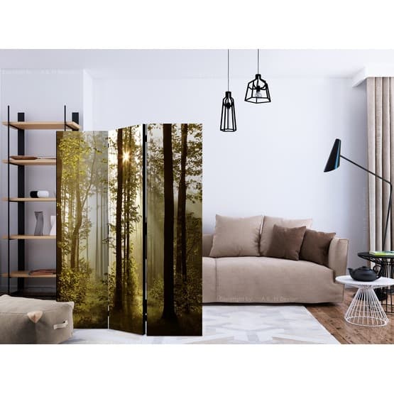Rumsavdelare - Forest: Morning Sunlight  - 3 Delar