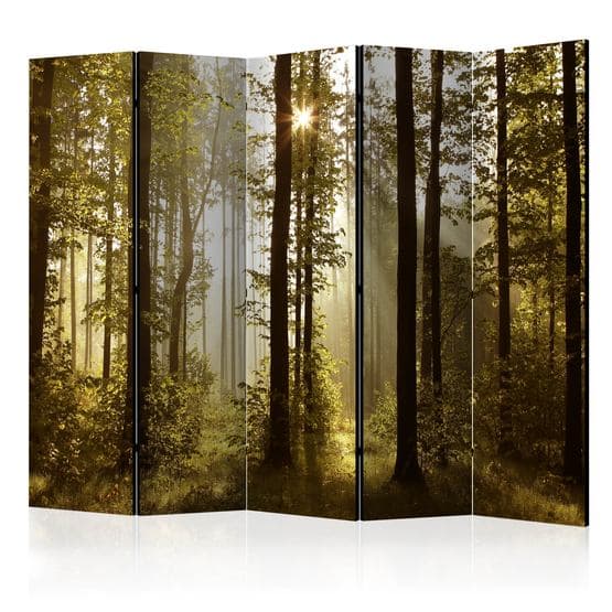 Rumsavdelare - Forest: Morning Sunlight  II - 5 Delar