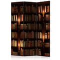 Miniatyrbild 1 av 4: Rumsavdelare - Bookshelves - 3 Delar