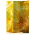 Miniatyrbild 1 av 4: Rumsavdelare - Soft Dandelion Flower - 3 Delar