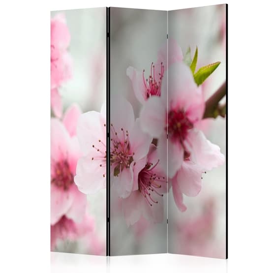 Rumsavdelare - Spring, Blooming Tree - Pink Flowers - 3 Delar