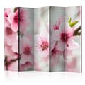 Miniatyrbild 1 av 2: Rumsavdelare - Spring, Blooming Tree - Pink Flowers II - 5 Delar